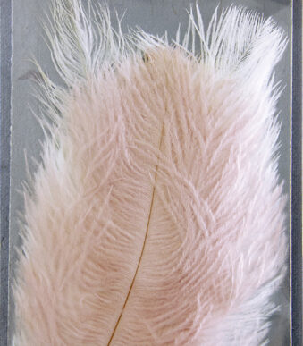 Geverfde struisvogelenveren, lengte ongeveer 170 mm