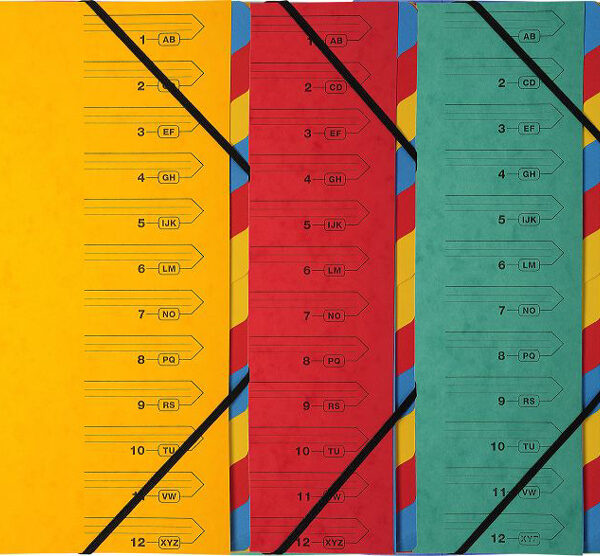 EXACOMPTA sorteermap, DIN A4, karton, 12 vakken, kleuren assorti