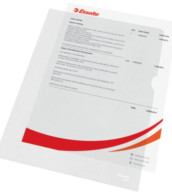 Esselte zichthoes standaard, DIN A4, PP, generfd, 0,12 mm