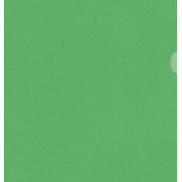 Esselte zichthoes standaard, DIN A4, PP, groen, 0,12 mm