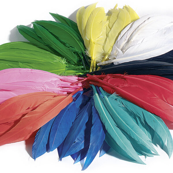 Gekleurde veren, 100 g, assorti.