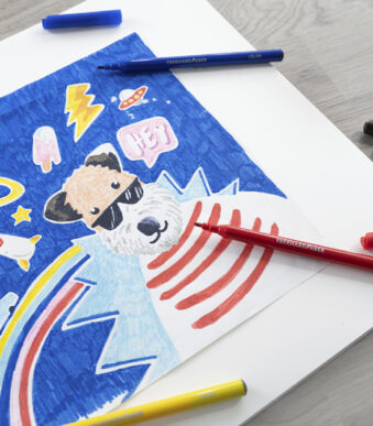 EBERHARD FABER viltstiften COLORI, 50 stuks in doosje