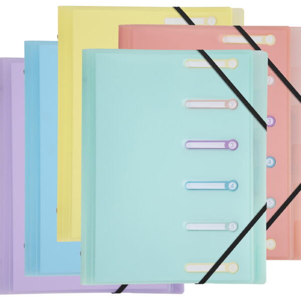 EXACOMPTA sorteermap Chromaline, A4, 6 vakken, kleuren assorti