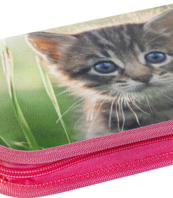 EBERHARD FABER schooletui Poes, 42-delig