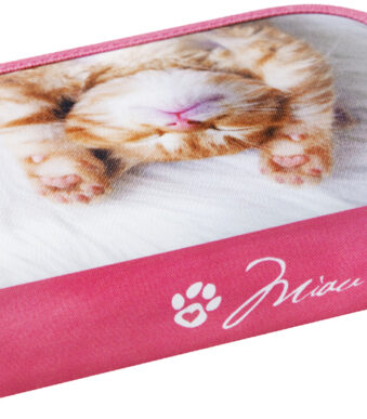 EBERHARD FABER schooletui Poes, 42-delig