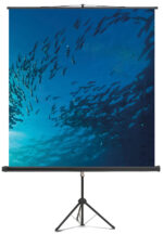 magnetoplan statief-projectiescherm standaard, (B)1.500 x (H)1.500 mm