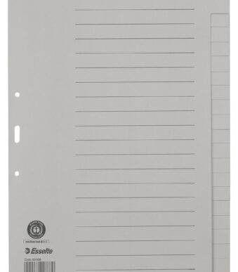 Esselte tabbladen - A4 - 20-delig - Grijs