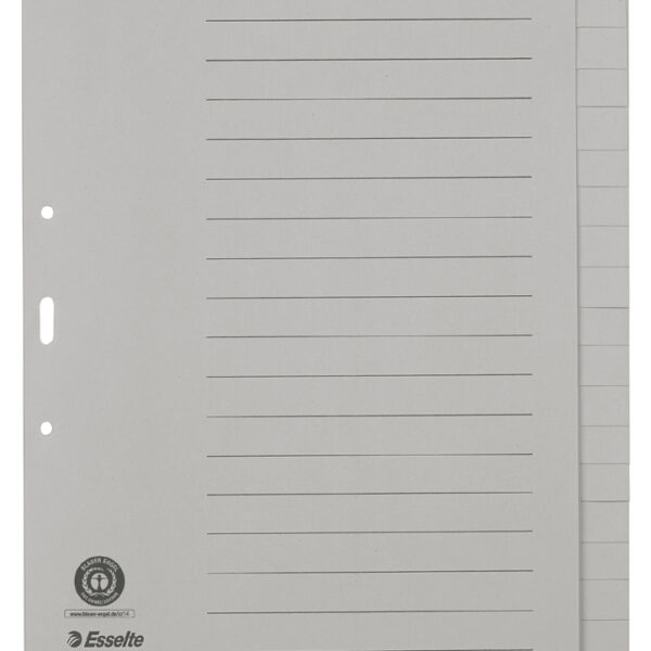 Esselte tabbladen - A4 - 20-delig - Grijs