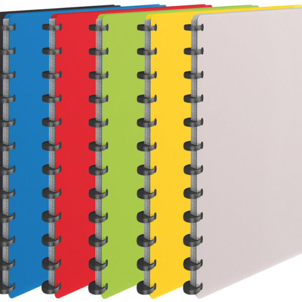 Esselte zichtmap VIVIDA, A4, met 25 zichttassen, assorti