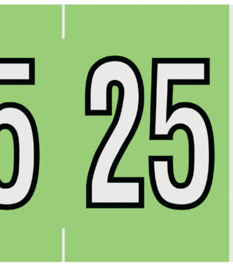 LEITZ jaaretiket Orgacolor '25', op stroken, groen