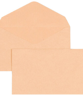 GPV envelop, 90x140 mm, lichtbruin, ongegomd, 75 g/m2, 1.000 st