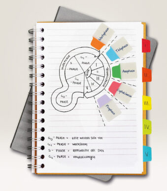 AVERY Zweckform zelfklevende tabs UltraTabs Neon 25,4 x 38 mm