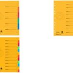 Kartonnen registermap - A4 Breed - 10 breed - Onbedrukt