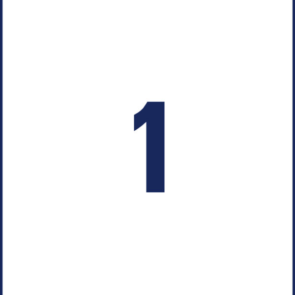 AVERY Zweckform verzendetiketten, 210 x 297 mm, wit