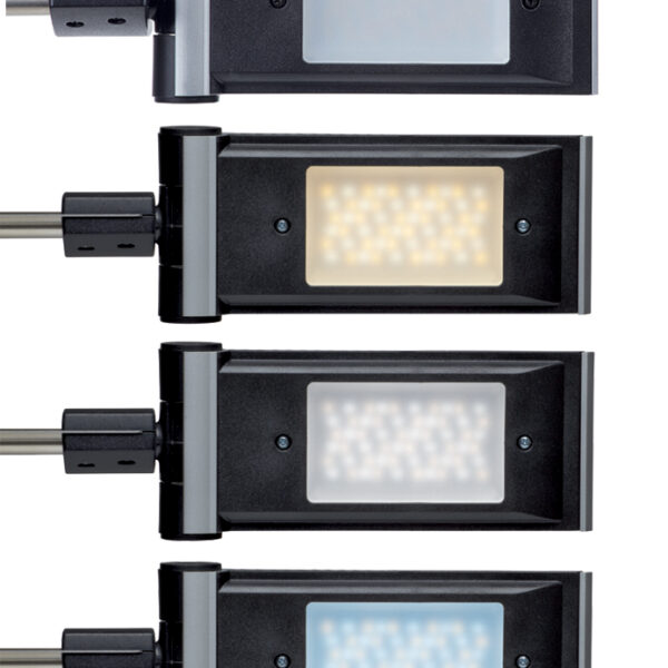 MAUL LED-design-lamp MAULprimus, dimbaar, zilver/zwart