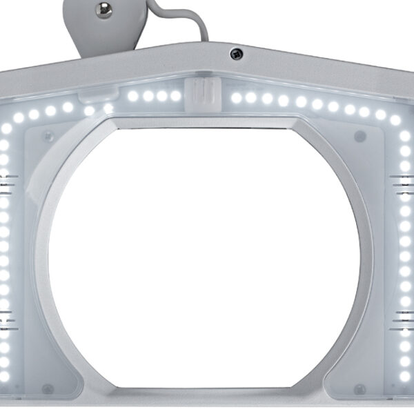 MAUL LED-loeplamp MAULvitrum, klemvoet, wit