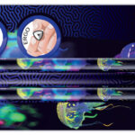 Maped potlood DEEPSEA PARADISE, met vlakgum, HB, 6 stuks op blister