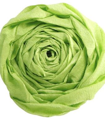 Clairefontaine crepepapier, (B)500 mm x (L)2,5 m, appelgroen