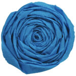 Clairefontaine crepepapier, (B)500 mm x (L)2,5 m, petrolblauw