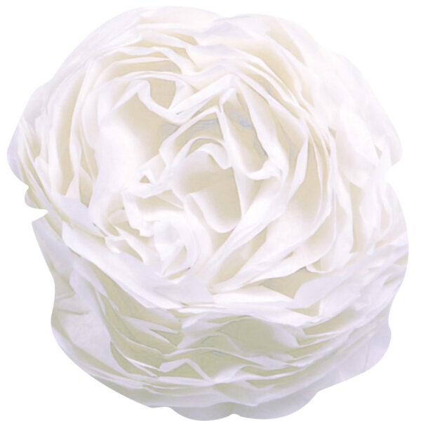 Clairefontaine zijdepapier / vloeipapier (B)500 x (H)750 mm, wit