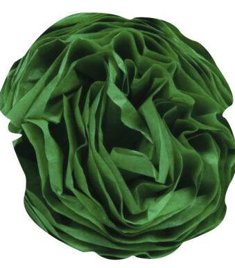 Clairefontaine zijdepapier, (B)500 x (H)750 mm, grasgroen