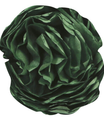 Clairefontaine zijdepapier, (B)500 x (H)750 mm, donkergroen