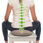 SCHILDKRÖT rugsteunkussen 'Seat Cushion Fit+', rond