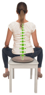 SCHILDKRÖT rugsteunkussen 'Seat Cushion Fit+', rond