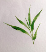 Clairefontaine aquarelblok BAMBOO, DIN A4, 250 g/m2