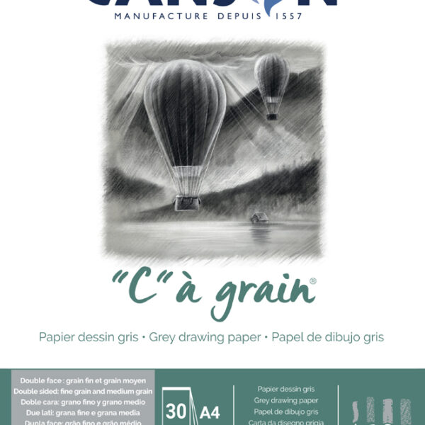 Canson gekleurde gemengd grijze tekenpapierblok