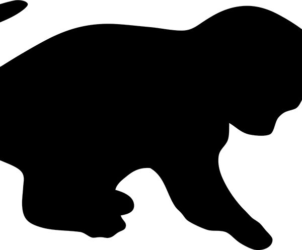 Securit krijtbord SILHOUETTE ´Kat´