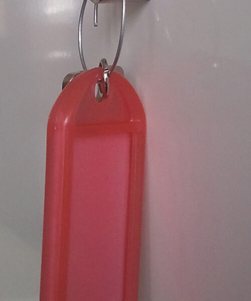 FRANKEN Neodym-magneethaken, rond, diameter: 16 mm, chroom