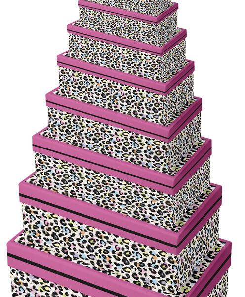 Clairefontaine set geschenkdozen 'Leopard', 10-delig