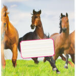 kangaro schrift, 165 x 210 mm, liniatuur: 6-3-6, 36 blz