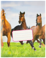 kangaro schrift, 165 x 210 mm, liniatuur: 6-3-6, 36 blz