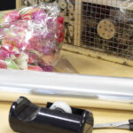 kangaro bloemenfolie / inpakfolie, 25 my, onbedrukt, 500 mm x 100 m