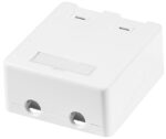 LogiLink opbouwdoos voor Keystone modules, 2-voudig, wit