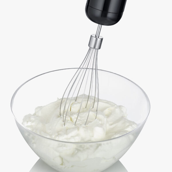 SEVERIN staafmixer SM 3772, 600 Watt, roestvrij staal / zwart