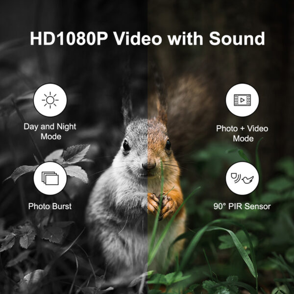 LogiLink Natuurcamera met nachtzicht, warmte- en bewegingsdetectie.