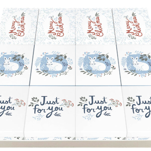 Clairefontaine Kerstcadeauverpakking