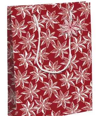 Clairefontaine kerstcadeauzak 'Citrusvruchten', middel