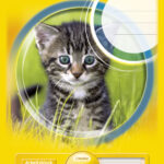 Landré werkkwaliteitsblok 'pro terra', A4-formaat, gelinieerd 1.