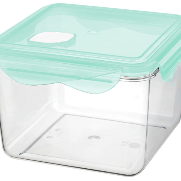 Bewaarbox 'Tina', met sluiting, kunststof, 1,7 liter.