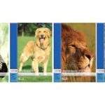 Tekenblok A3, 100 g/m², 20 vellen, geperforeerd