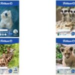 Tekenveldblok A4, 100 g/m², 20 vellen