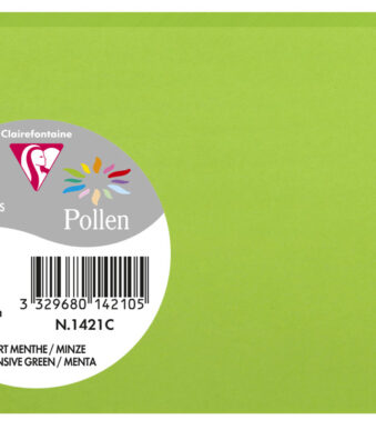 Clairefontaine Ansichtkaart 82 x 128 mm, mintgroen