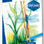 Staedtler aquarelstiften Design Journey, metalen etui met 12 stuks.