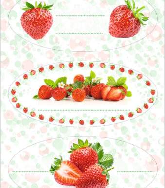 Huishoud-etiketten 'Aardbei', 76 x 35 mm