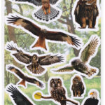 HERMA Stickers Decoratief Roofvogels