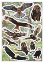 HERMA Stickers Decoratief Roofvogels